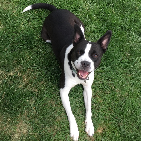 Meet your Posher, Gabrielle - Picture 2 of 5